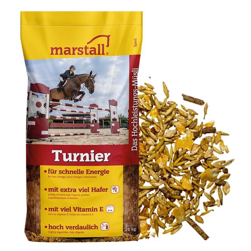 Marstall Turnier