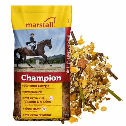 Marstall Champion